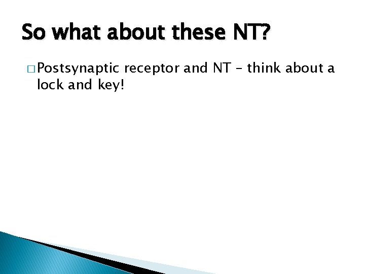 So what about these NT? � Postsynaptic receptor and NT – think about a