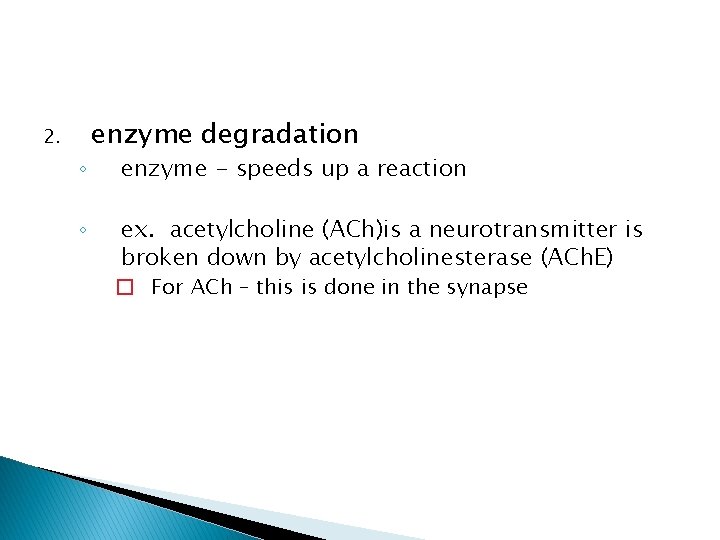 2. ◦ ◦ enzyme degradation enzyme - speeds up a reaction ex. acetylcholine (ACh)is