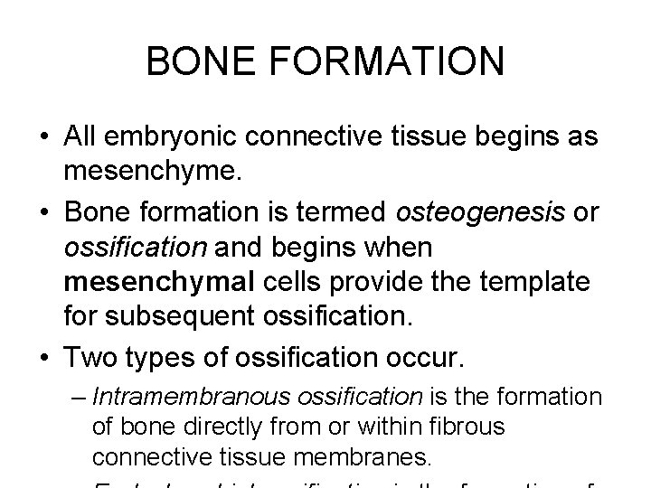 BONE FORMATION • All embryonic connective tissue begins as mesenchyme. • Bone formation is BONE FORMATION • All embryonic connective tissue begins as mesenchyme. • Bone formation is