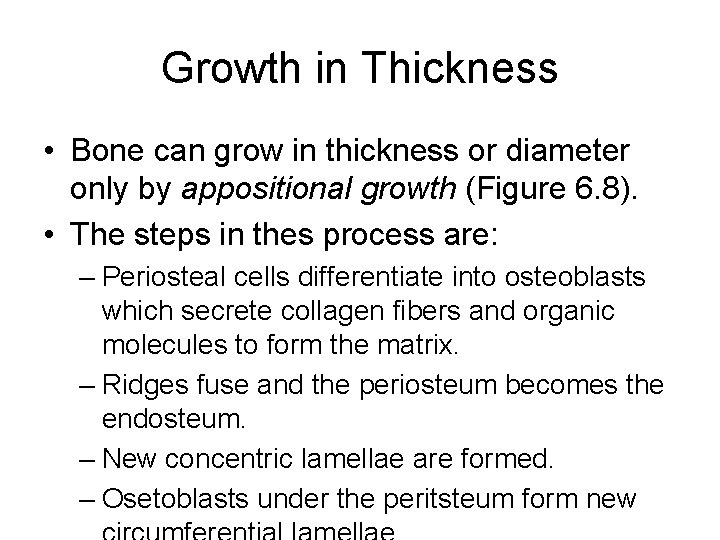 Growth in Thickness • Bone can grow in thickness or diameter only by appositional Growth in Thickness • Bone can grow in thickness or diameter only by appositional