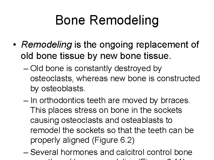 Bone Remodeling • Remodeling is the ongoing replacement of old bone tissue by new Bone Remodeling • Remodeling is the ongoing replacement of old bone tissue by new