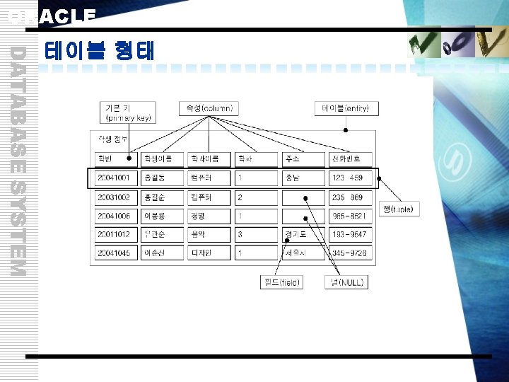 ORACLE DATABASE SYSTEM 테이블 형태 