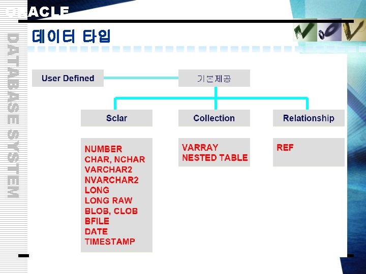 ORACLE DATABASE SYSTEM 데이터 타입 