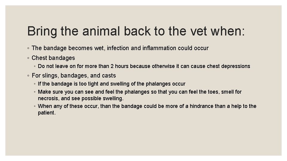 Bring the animal back to the vet when: ◦ The bandage becomes wet, infection
