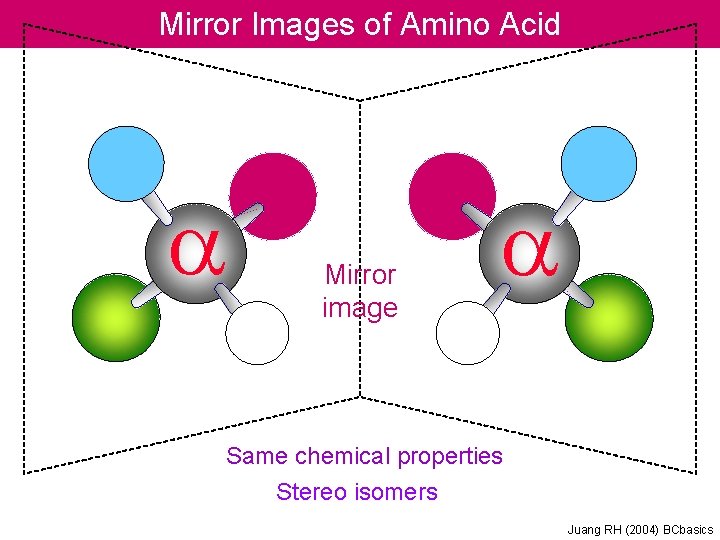 Mirror Images of Amino Acid a Mirror image a Same chemical properties Stereo isomers