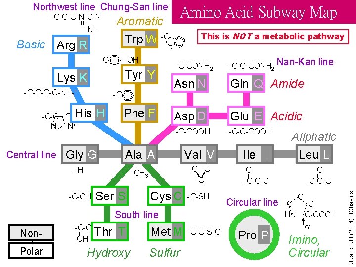 Northwest line Chung-San line = -C-C-C-N N+ Basic Arg R Aromatic Trp W -C-OH