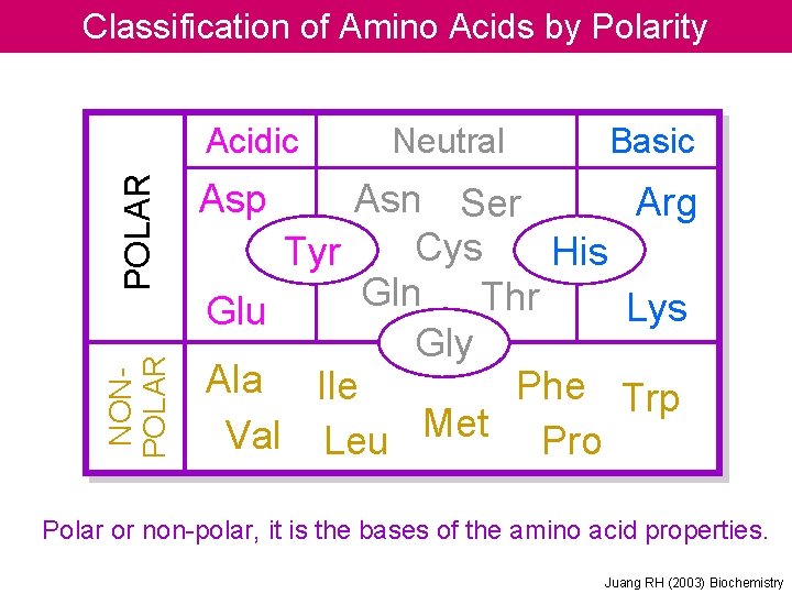 Classification of Amino Acids by Polarity NONPOLAR Acidic Neutral Basic Asp Asn Ser Arg