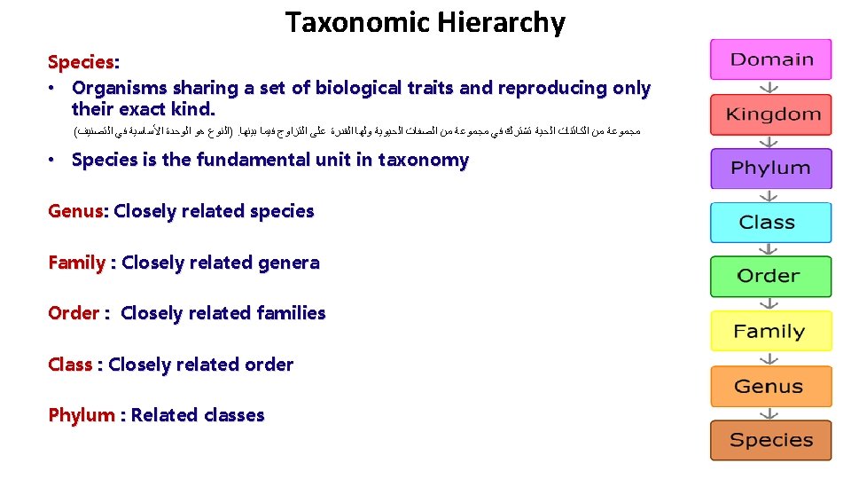 Taxonomic Hierarchy Species: • Organisms sharing a set of biological traits and reproducing only