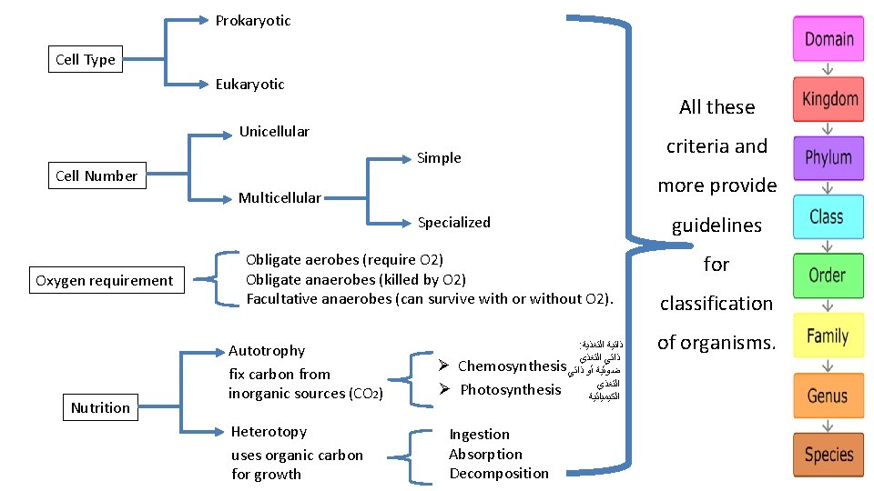Prokaryotic Cell Type Eukaryotic All these Unicellular Simple Cell Number more provide Multicellular Specialized