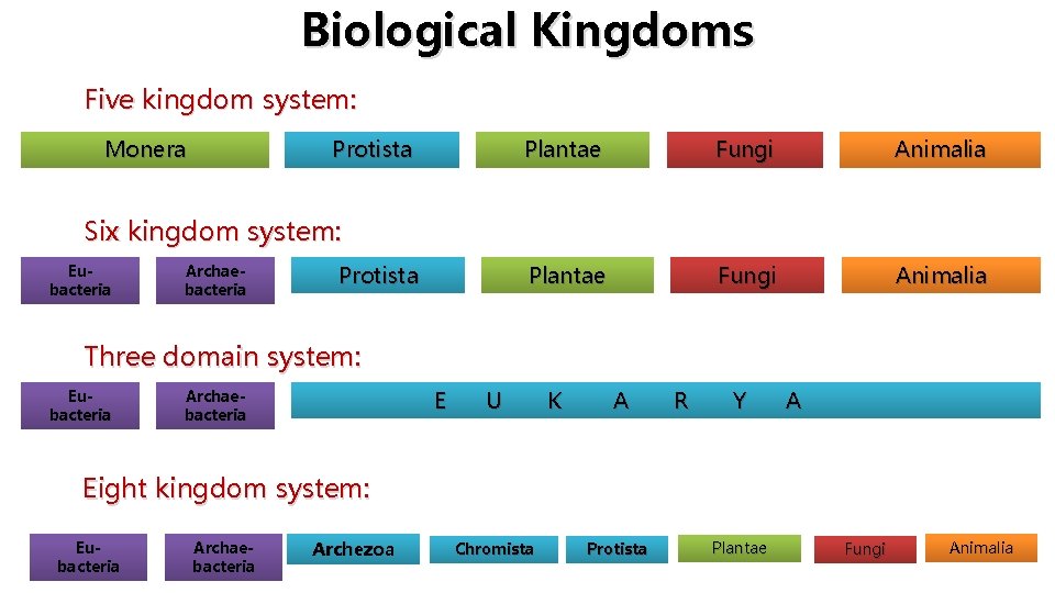 Biological Kingdoms Five kingdom system: Monera Protista Plantae Fungi Animalia Six kingdom system: Eubacteria