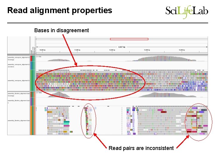 Read alignment properties Bases in disagreement Read pairs are inconsistent 