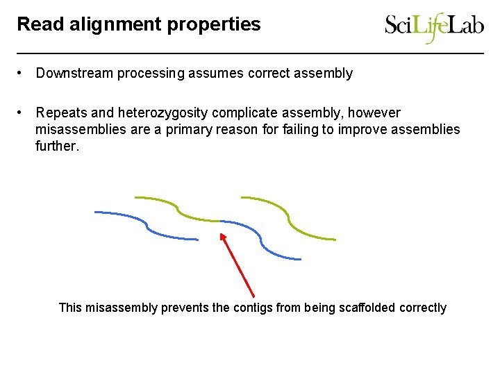 Read alignment properties • Downstream processing assumes correct assembly • Repeats and heterozygosity complicate
