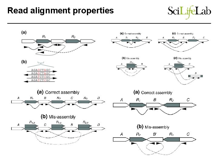 Read alignment properties 