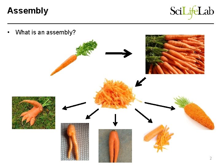 Assembly • What is an assembly? 2 