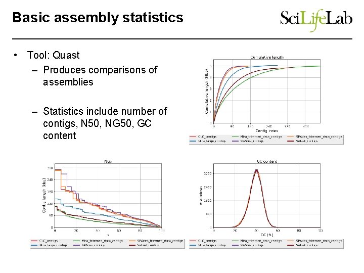 Basic assembly statistics • Tool: Quast – Produces comparisons of assemblies – Statistics include