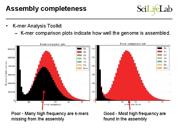 Assembly completeness • K-mer Analysis Toolkit – K-mer comparison plots indicate how well the