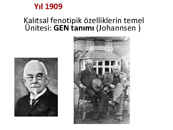 Yıl 1909 Kalıtsal fenotipik özelliklerin temel Ünitesi: GEN tanımı (Johannsen ) 
