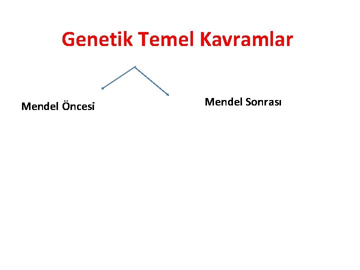 Genetik Temel Kavramlar Mendel Öncesi Mendel Sonrası 