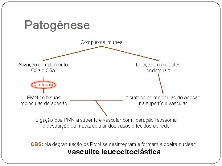 Patogênese Complexos imunes Ativação complemento C 3 a e C 5 a Ligação com