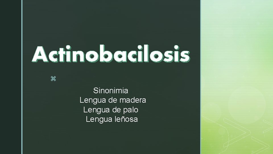 Actinobacilosis z Sinonimia Lengua de madera Lengua de palo Lengua leñosa 