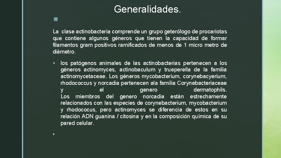 Generalidades. z La clase actinobacteria comprende un grupo geterólogo de procariotas que contiene algunos