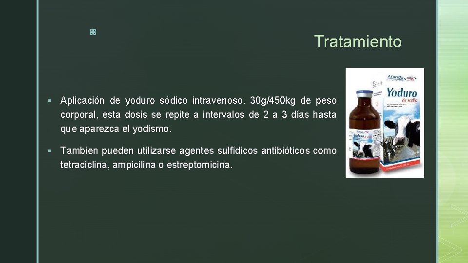 z Tratamiento § Aplicación de yoduro sódico intravenoso. 30 g/450 kg de peso corporal,