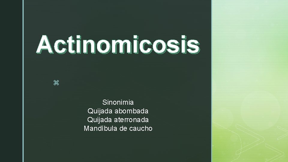 Actinomicosis z Sinonimia Quijada abombada Quijada aterronada Mandíbula de caucho 