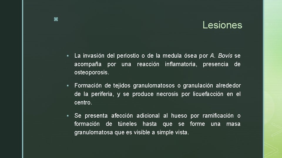 z Lesiones § La invasión del periostio o de la medula ósea por A.