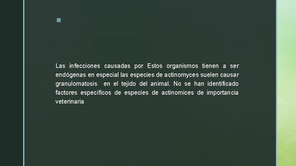 z Las infecciones causadas por Estos organismos tienen a ser endógenas en especial las