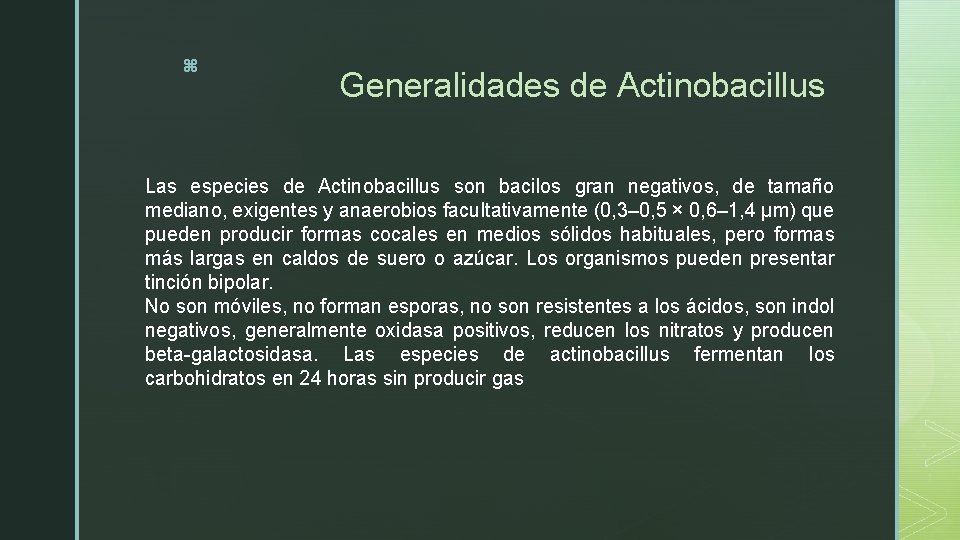 z Generalidades de Actinobacillus Las especies de Actinobacillus son bacilos gran negativos, de tamaño
