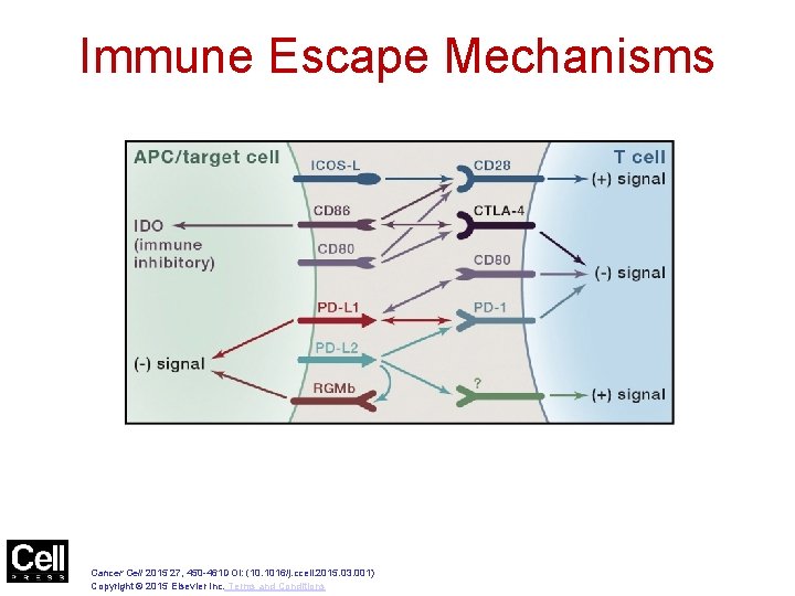 Figure 1 Immune Escape Mechanisms Cancer Cell 2015 27, 450 -461 DOI: (10. 1016/j.