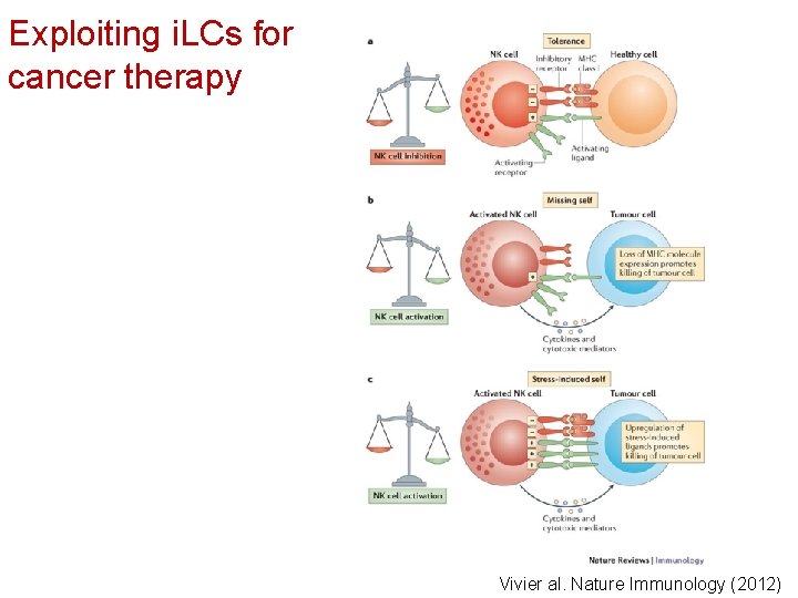 Exploiting i. LCs for cancer therapy Vivier al. Nature Immunology (2012) 