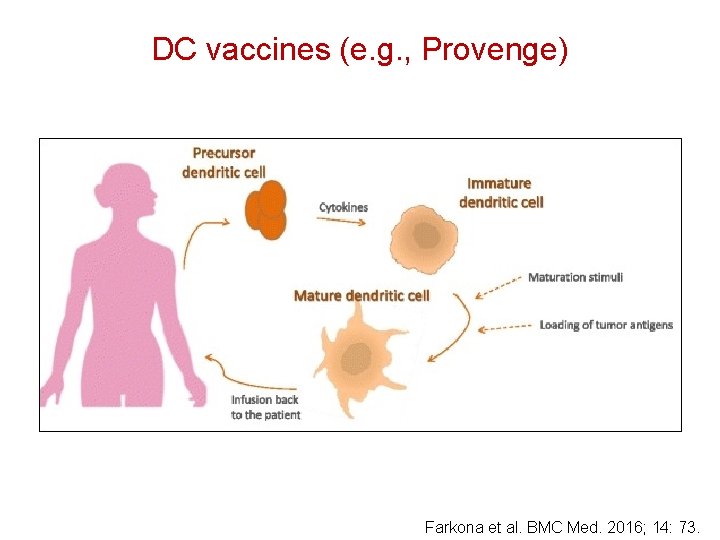DC vaccines (e. g. , Provenge) Farkona et al. BMC Med. 2016; 14: 73.