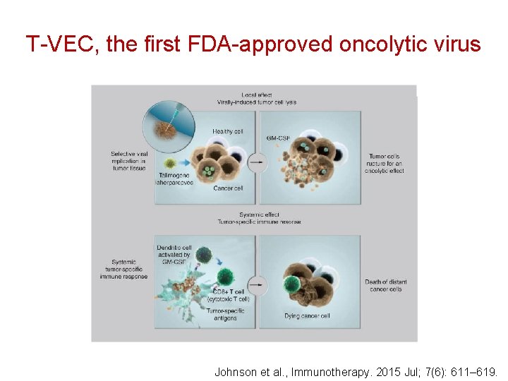 T-VEC, the first FDA-approved oncolytic virus Johnson et al. , Immunotherapy. 2015 Jul; 7(6):