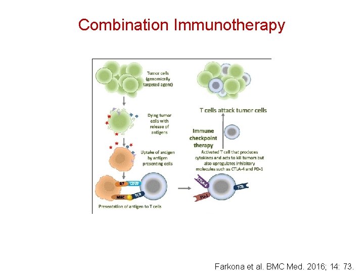 Combination Immunotherapy Farkona et al. BMC Med. 2016; 14: 73. 