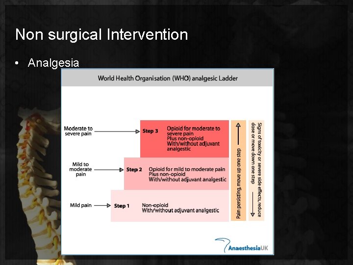 Non surgical Intervention • Analgesia 
