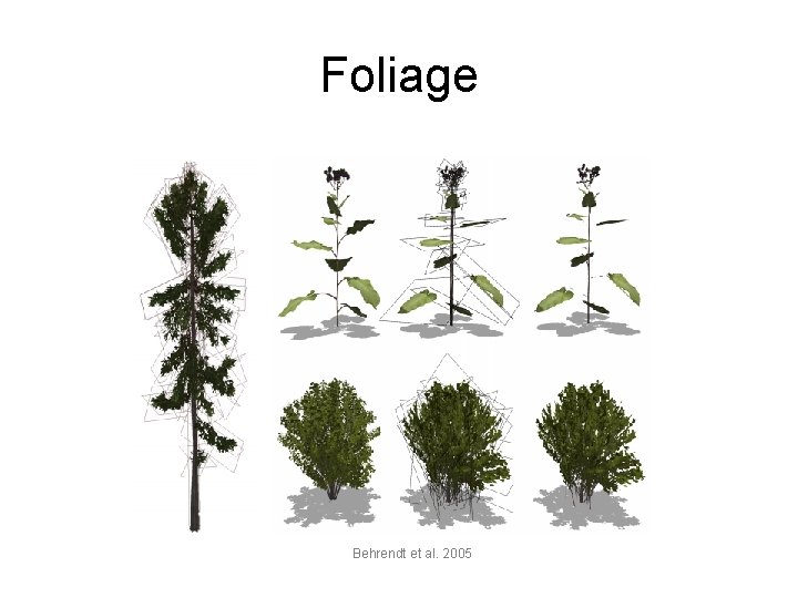 Foliage Behrendt et al. 2005 