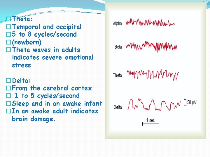 �Theta: �Temporal and occipital � 5 to 8 cycles/second �(newborn) �Theta waves in adults