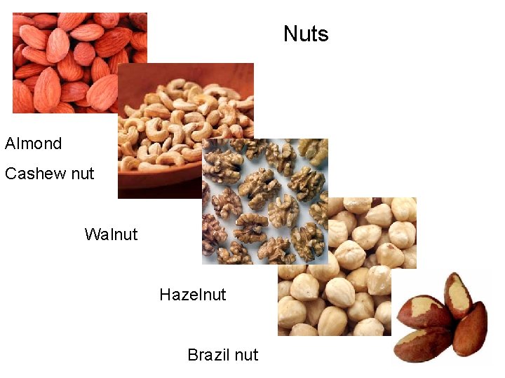 Nuts Almond Cashew nut Walnut Hazelnut Brazil nut 