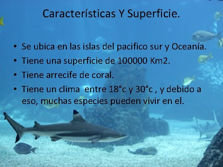 Características Y Superficie. • • Se ubica en las islas del pacifico sur y