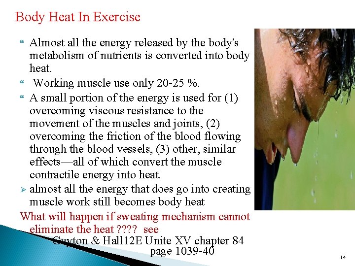 Body Heat In Exercise Almost all the energy released by the body's metabolism of