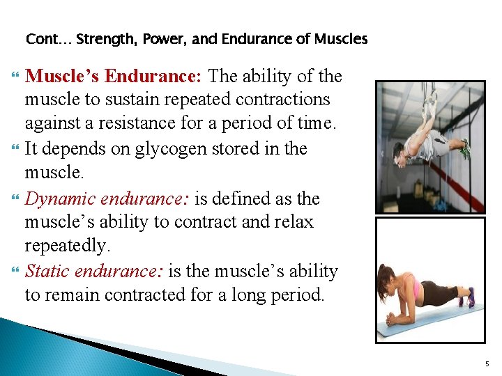 Cont… Strength, Power, and Endurance of Muscles Muscle’s Endurance: The ability of the muscle