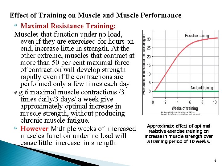 Effect of Training on Muscle and Muscle Performance Maximal Resistance Training: Muscles that function
