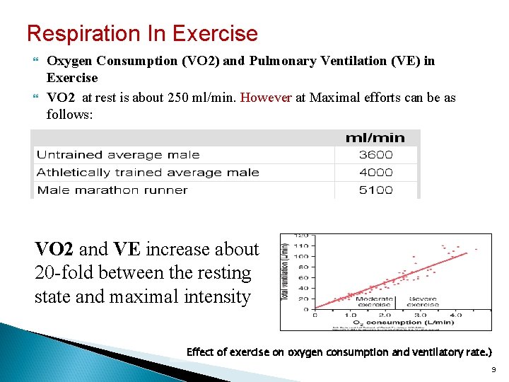 Respiration In Exercise Oxygen Consumption (VO 2) and Pulmonary Ventilation (VE) in Exercise VO