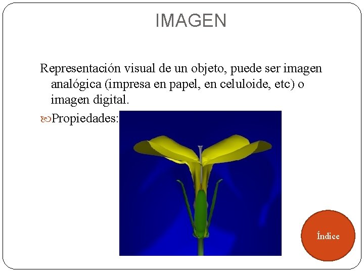 IMAGEN Representación visual de un objeto, puede ser imagen analógica (impresa en papel, en