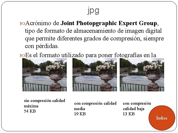 jpg Acrónimo de Joint Photopgraphic Expert Group, tipo de formato de almacenamiento de imagen