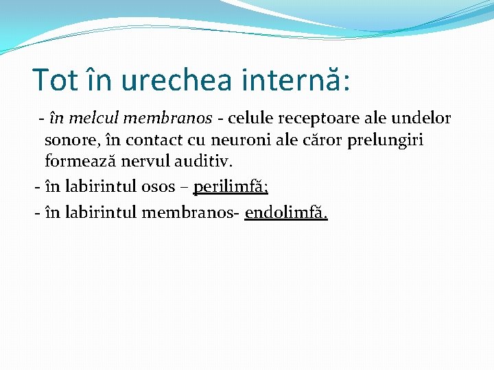 Tot în urechea internă: - în melcul membranos - celule receptoare ale undelor sonore, Tot în urechea internă: - în melcul membranos - celule receptoare ale undelor sonore,