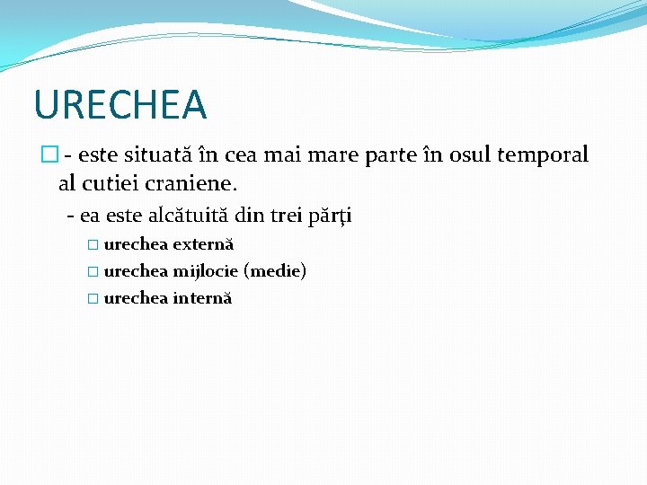 URECHEA � - este situată în cea mai mare parte în osul temporal al URECHEA � - este situată în cea mai mare parte în osul temporal al