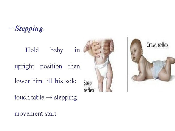  Stepping Hold : baby in upright position then lower him till his sole