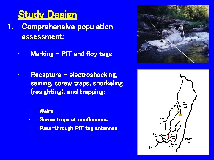 Study Design 1. Comprehensive population assessment: • Marking – PIT and floy tags •